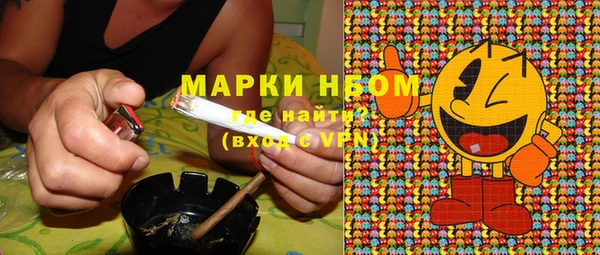 стаф Балахна