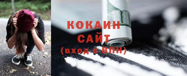 стаф Балахна