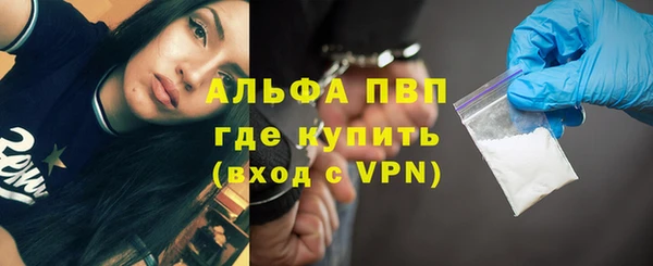 стаф Балахна