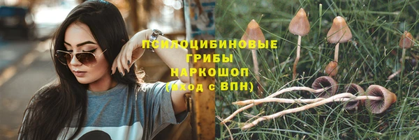стаф Балахна