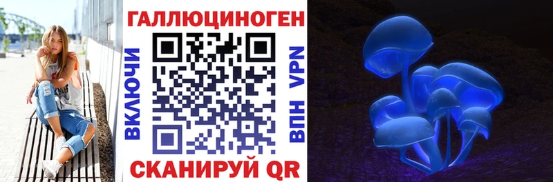 Псилоцибиновые грибы GOLDEN TEACHER  где найти   гидра зеркало  Новоржев 