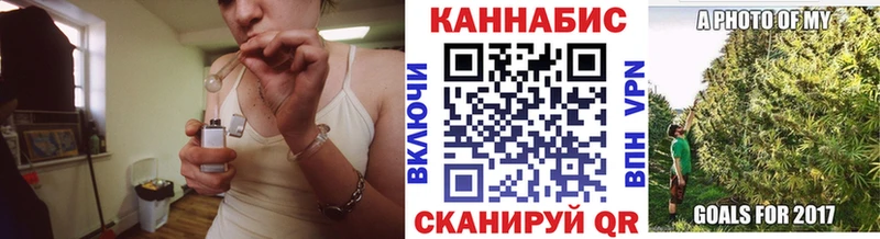где найти наркотики  Новоржев  Каннабис ГИДРОПОН 